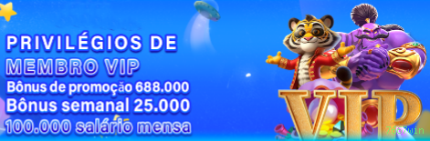 Termos e Condições